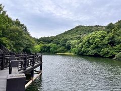 -白马涧龙池景区