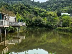 -林丰温泉度假山庄