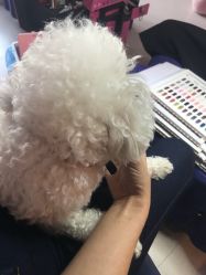 -Pink You美甲美睫纹绣定制中心