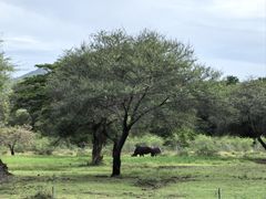 -卡塞拉自然公园