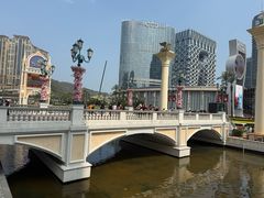 -澳门威尼斯人综合度假区