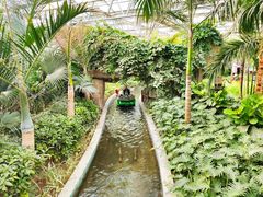 -南宫五洲植物乐园