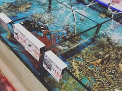 -亚特兰蒂斯水世界冒险乐园