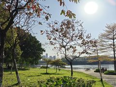 -飞来湖湿地公园