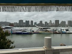 -野狸岛