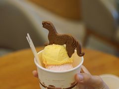 大荔西瓜-陕拾叁-西安糕点(大雁塔店)