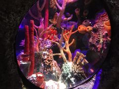 -沈阳海洋探索中心