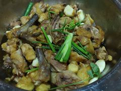 -九道菜有鸡鱼头(石鼓路店)
