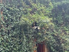 -源一咖啡馆(麒麟巷步行街店)