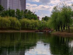 -长春公园(普阳街道)