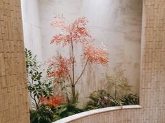 -阿五黄河大鲤鱼(纬三路店)