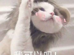 -海底捞火锅(亲贤北街店)