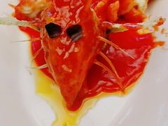 -丁老爷子苏香圆
