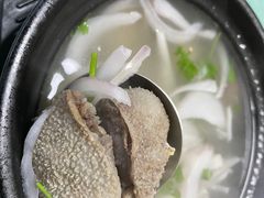 -煲来饱去冷水鱼