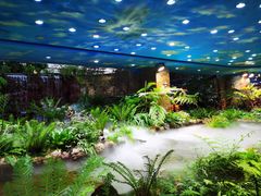 -凯德广场(学府店)