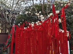 -长春观