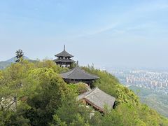 -杭州半山国家森林公园