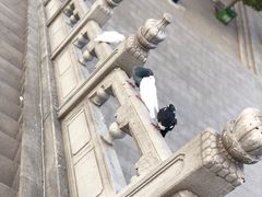 -龙口南山旅游景区