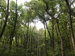 -紫霞湖公园