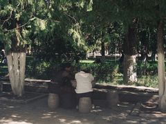-罗布林卡