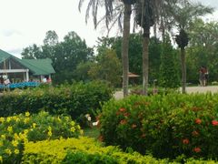 android_upload_pic-七珍佛山