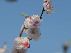 -祝幺妹火锅(裕华村总店)