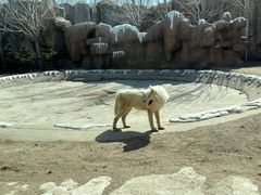 -齐齐哈尔龙沙动植物园