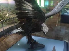 -陕西自然博物馆