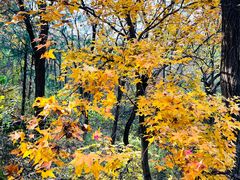 -阳台山自然风景区