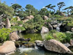 -罗红摄影艺术馆