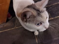 -张记牛肉面馆(天津路店)