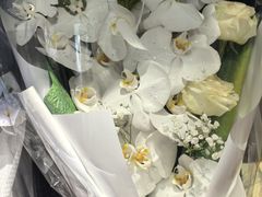 -花里花店(唐镇阳光天地店)