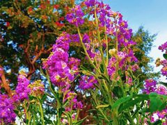 -福州大学(旗山校区)