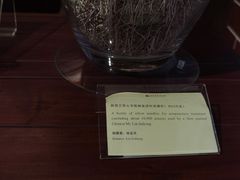 -二沙岛-广东华侨博物馆