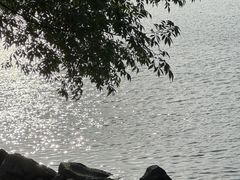 -台场海滨公园船码头