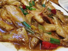 -开鑫鱼厂·宁波海鲜(前程智慧城店)
