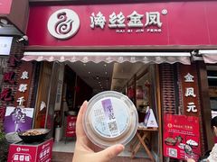 -海丝金凤(金鱼店)