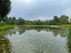 -东郊湿地公园