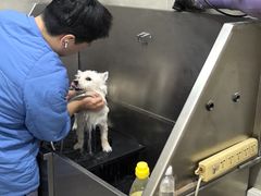 -佩兹宠物医院肿瘤专科·眼科·牙科(黄浦店)