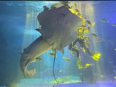 -常州海昌海洋探索馆