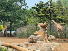 -大连森林动物园