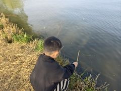 -合肥滨湖国家森林公园