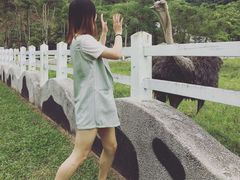 -瑞穗牧场