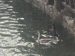 -白马涧龙池景区