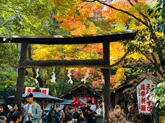 -野宫神社