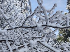 -武陵山森林公园