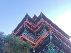 -浮来山风景区