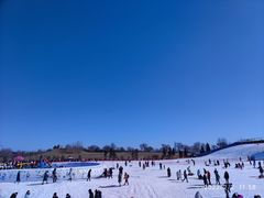 -绿野森林乐园冰雪季
