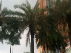 -黄金海岸水上乐园