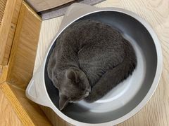 -猫和宫(六道口店)